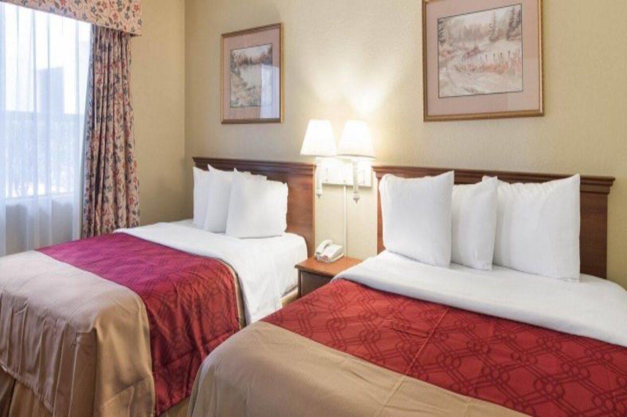 Econo Lodge Inn And Suites Arlington Eksteriør bilde